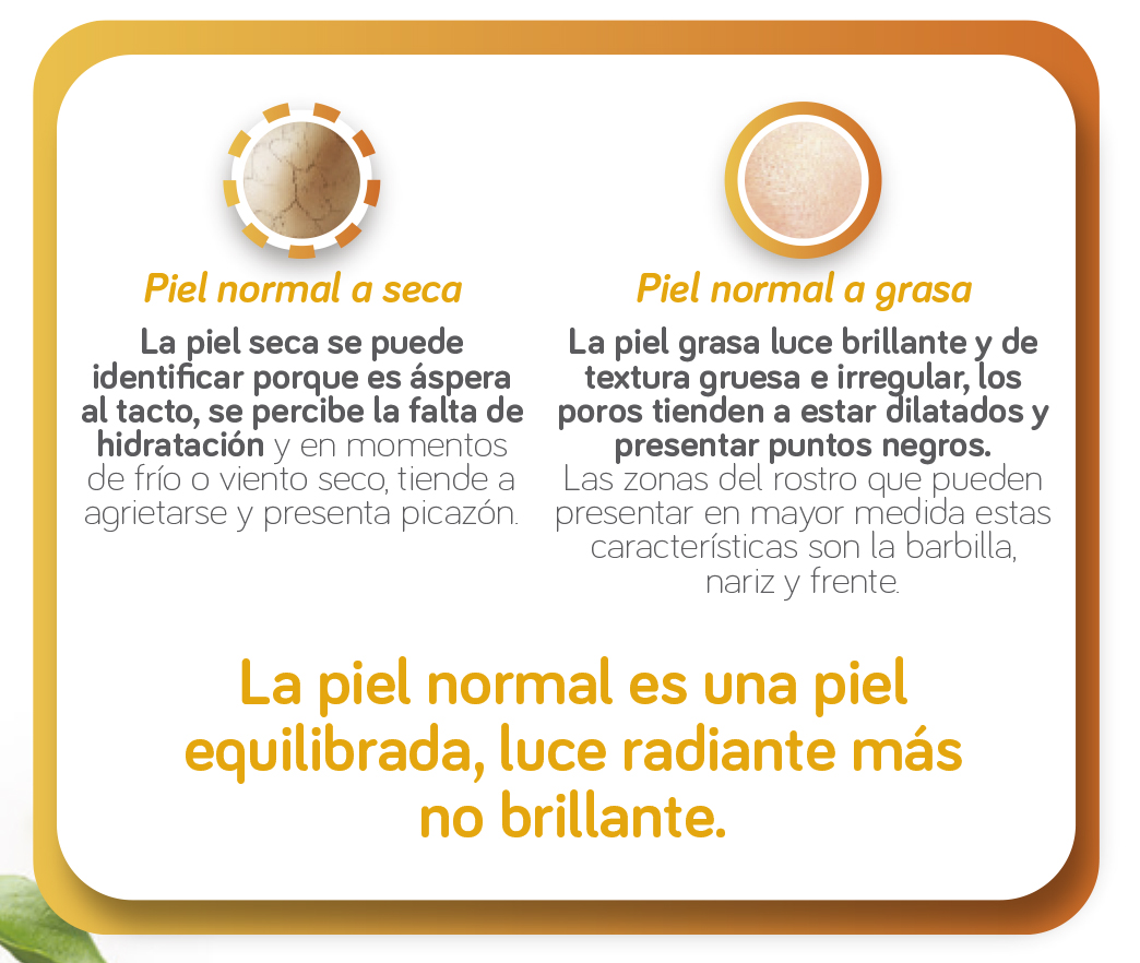 Identifica tu tipo de Piel