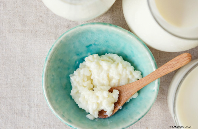 Que son probioticos?