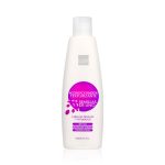 Acondicionador Texturizante de Semillas Lino 500 mL Lmar