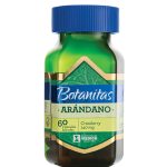 Arándano 140 mg 60 Cápsulas Medick