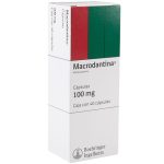 Macrodantina 100 mg 40 Cápsulas