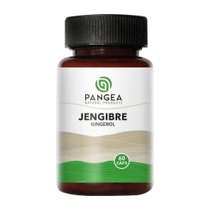 Jengibre 500 mg 60 Cápsulas Pangea