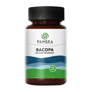 Bacopa 500 mg 60 Capsulas Pangea