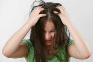 Blog Lo que debes saber sobre los piojos