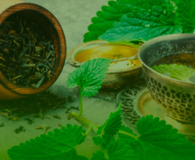 Fondo Herbologia Ancestral