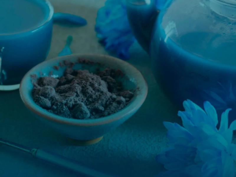 Fondo Saberes Ancestral Salud