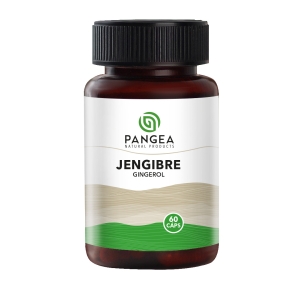 Jengibre 500 mg 60 Cápsulas Pangea